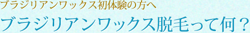 ブラジリアンワックス脱毛って何?